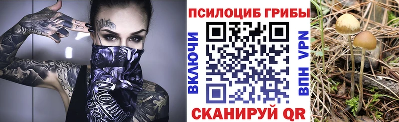 Псилоцибиновые грибы MAGIC MUSHROOMS Ликино-Дулёво